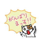 ホイきた☆芝居ネコ！（個別スタンプ：26）