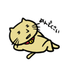ネコヲさんの日常（個別スタンプ：15）