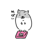 夢のハムさん（個別スタンプ：25）