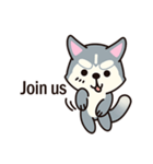 Huskies puppy(So into the cute dog)（個別スタンプ：18）