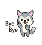 Huskies puppy(So into the cute dog)（個別スタンプ：40）