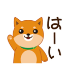 柴犬「ムサシ」3（個別スタンプ：2）