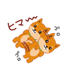 柴犬「ムサシ」3（個別スタンプ：6）