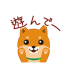 柴犬「ムサシ」3（個別スタンプ：8）