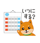 柴犬「ムサシ」3（個別スタンプ：10）