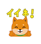 柴犬「ムサシ」3（個別スタンプ：13）