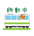 柴犬「ムサシ」3（個別スタンプ：16）