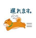 柴犬「ムサシ」3（個別スタンプ：19）