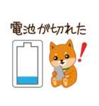 柴犬「ムサシ」3（個別スタンプ：21）