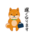 柴犬「ムサシ」3（個別スタンプ：34）