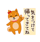 柴犬「ムサシ」3（個別スタンプ：35）