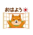 柴犬「ムサシ」3（個別スタンプ：37）