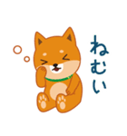 柴犬「ムサシ」3（個別スタンプ：38）