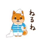 柴犬「ムサシ」3（個別スタンプ：39）