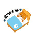 柴犬「ムサシ」3（個別スタンプ：40）