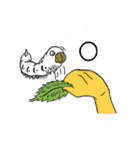 カイコ（個別スタンプ：16）
