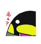 ペンギンのペンティー（個別スタンプ：8）