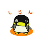 ペンギンのペンティー（個別スタンプ：33）