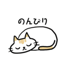 マキチータの詰め合わせ（個別スタンプ：36）