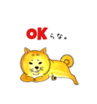 ムチムチ柴犬のこじろう君。（個別スタンプ：1）