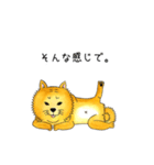 ムチムチ柴犬のこじろう君。（個別スタンプ：3）