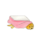 ムチムチ柴犬のこじろう君。（個別スタンプ：4）
