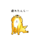 ムチムチ柴犬のこじろう君。（個別スタンプ：8）