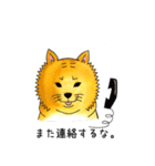 ムチムチ柴犬のこじろう君。（個別スタンプ：13）