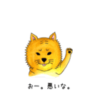 ムチムチ柴犬のこじろう君。（個別スタンプ：14）