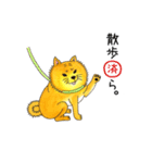 ムチムチ柴犬のこじろう君。（個別スタンプ：17）
