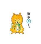 ムチムチ柴犬のこじろう君。（個別スタンプ：18）