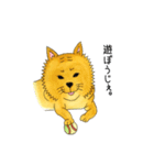 ムチムチ柴犬のこじろう君。（個別スタンプ：19）
