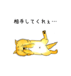ムチムチ柴犬のこじろう君。（個別スタンプ：23）