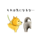ムチムチ柴犬のこじろう君。（個別スタンプ：27）