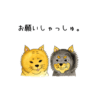 ムチムチ柴犬のこじろう君。（個別スタンプ：28）