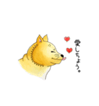 ムチムチ柴犬のこじろう君。（個別スタンプ：29）
