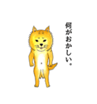 ムチムチ柴犬のこじろう君。（個別スタンプ：33）
