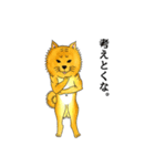 ムチムチ柴犬のこじろう君。（個別スタンプ：34）