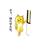 ムチムチ柴犬のこじろう君。（個別スタンプ：40）