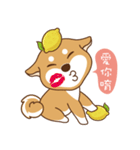 HappinessShiba - Gifaye and Limon（個別スタンプ：5）
