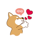 HappinessShiba - Gifaye and Limon（個別スタンプ：6）
