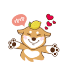 HappinessShiba - Gifaye and Limon（個別スタンプ：7）