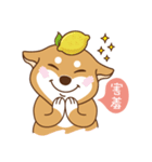 HappinessShiba - Gifaye and Limon（個別スタンプ：8）