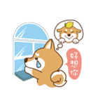 HappinessShiba - Gifaye and Limon（個別スタンプ：10）