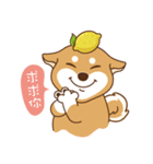 HappinessShiba - Gifaye and Limon（個別スタンプ：11）