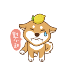 HappinessShiba - Gifaye and Limon（個別スタンプ：12）
