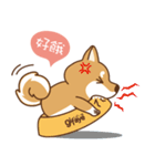 HappinessShiba - Gifaye and Limon（個別スタンプ：13）