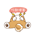 HappinessShiba - Gifaye and Limon（個別スタンプ：16）