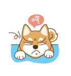 HappinessShiba - Gifaye and Limon（個別スタンプ：18）