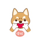 HappinessShiba - Gifaye and Limon（個別スタンプ：21）